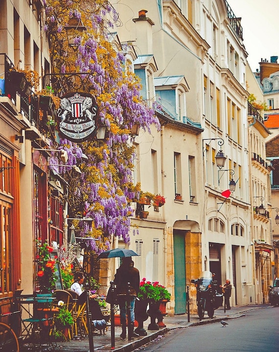 Paris Street Photography Print, Wisteria, Francophile Gift - Etsy