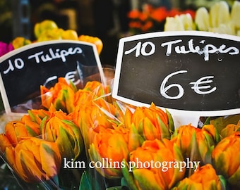 Parisian Tulips Photo Print: Rue Cler Floral Photography