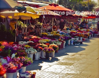 Istanbul Flower Market Photo Print, Turkey Travel Photography