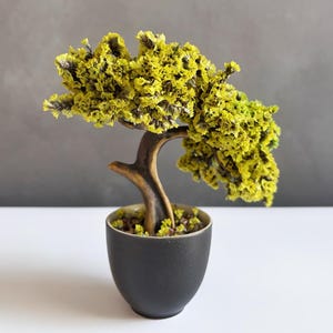Sunny Bloom Bonsai, Handmade Yellow Flower Tree, Black Ceramic Pot - Decorative Stones, 15 Cm Height