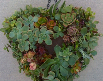 SUCCULENT Wreath, Wreath DIY, DIY succulent,  Gift for Mom, Mother's Day Gift