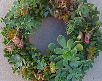 Succulent WREATH KIT, Mothers Day Gift, DIY Succulent, Wreath Kit, Christmas, gift