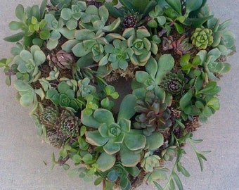SUCCULENT WREATH, DIY succulent - 65 succulent cuttings, 65 floral pins, Mother's day wreath, Mother's Day Gift