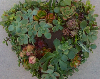 Succulent Wreath, Heart shape Wreath,  Wreath DIY, Succulent Wreath, DIY succulent, Mother's Day, Birthday gift, Wreath KIT