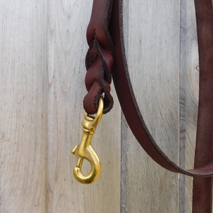 Custom Braided Leather Dog Leash