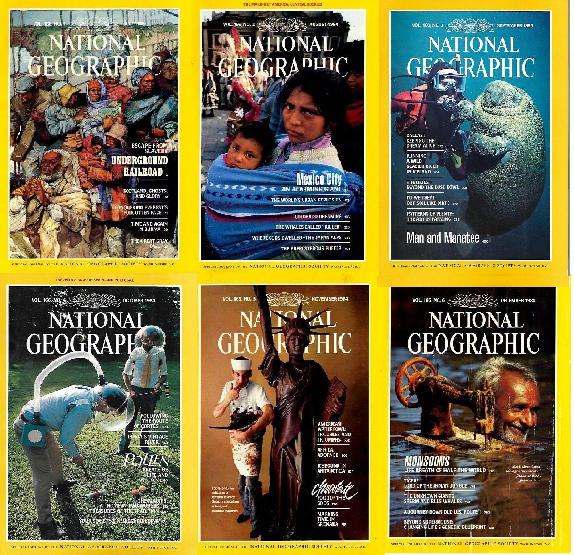 Six-month Bundles of National Geographic, 1980 - 1984
