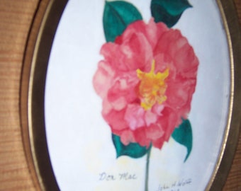 Don Mac Camelia in Watercolor