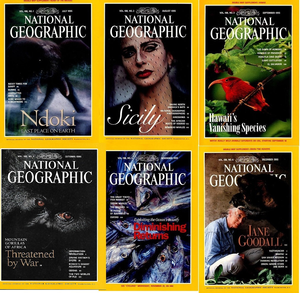 1995-1999 Bundles of National Geographic. - Etsy