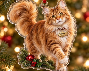 May include: A clear acrylic Christmas ornament featuring a long-haired orange tabby cat with a fluffy tail. The cat wears a red collar with a fish-shaped tag reading Oliver 2026. A small red ornament and green holly are at the base.