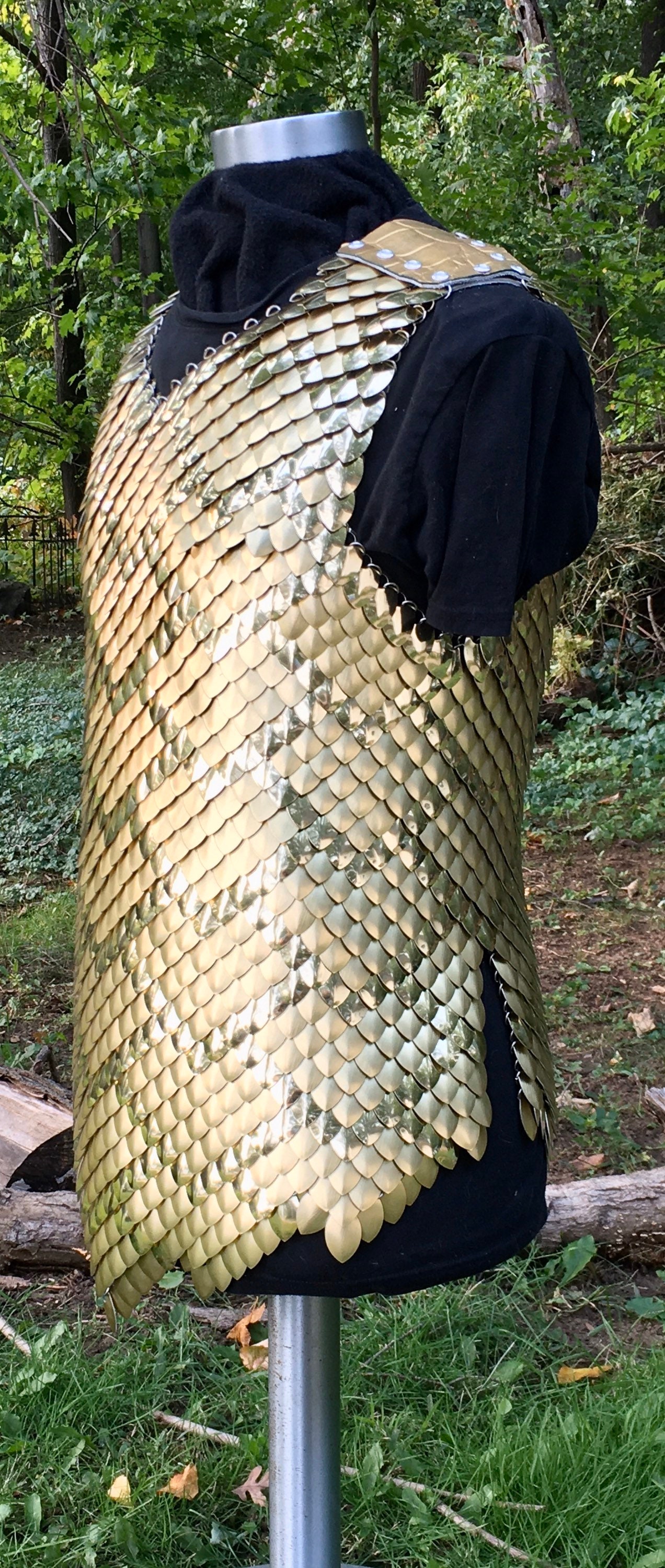 Golden Dragon Scalemail Etsy