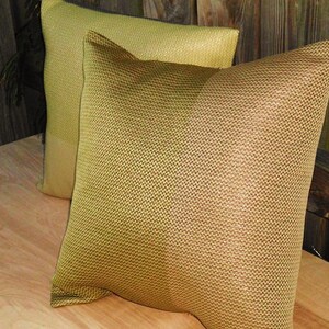 17 x 17 Decorative Throw Pillow  Set Covers