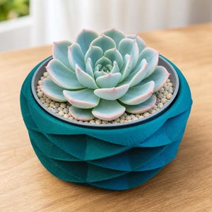 May include: A light blue-green succulent plant with pale pink-tipped leaves potted in a dark teal geometric planter. The plant is surrounded by small, light-coloured gravel stones within a grey inner container, creating a layered, textured appearance.