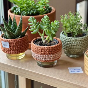 Op de afbeelding: Drie kleine potplanten in glazen houders, elk omwikkeld met een gehaakte hoes met textuur. Eén hoes is effen roestoranje, één heeft een gestreept patroon in roest en lichtroze, en één is saliegroen. Kleine witte labels met tekst zijn bevestigd.