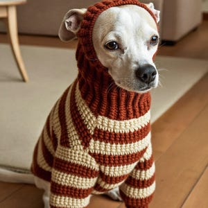 Puede incluir: Un perro con un suéter de ganchillo a rayas de color óxido y crema con capucha integrada. La prenda presenta una textura acanalada, mangas largas y un ajuste ceñido alrededor del cuello y la cabeza, cubriendo el torso y las patas delanteras.