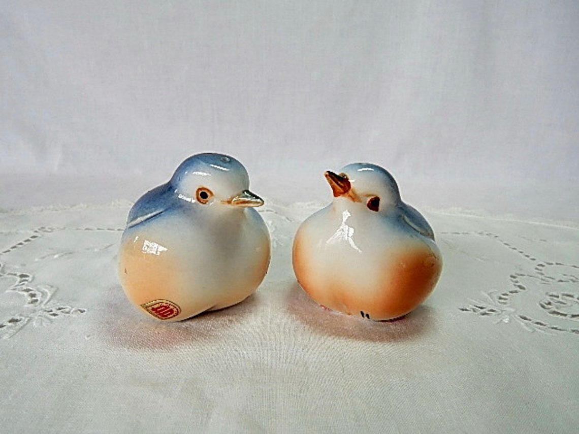 Vintage Salt and Pepper Shakers Blue Birds Ardalt Bone China Etsy