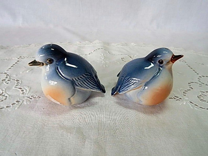 Vintage Salt and Pepper Shakers Blue Birds Ardalt Bone China Etsy