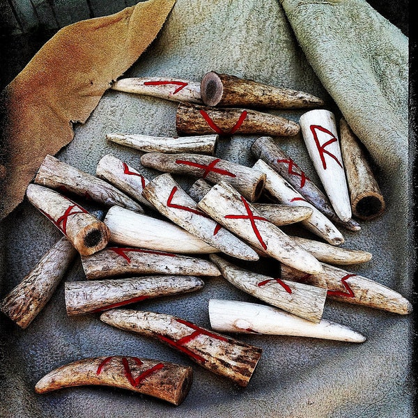 Custom Carved Elk Antler Elder Futhark Runes