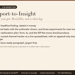 Report-to-Insight: what you get, the files it produces