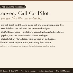Discovery Call Co-Pilot: what you get, the files it produces