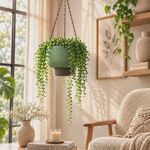 May include: A hanging planter with a two-tone design featuring a ribbed light green upper section and a smooth dark gray base. The planter is suspended by a black metal chain and contains a trailing string of pearls plant with green beads.