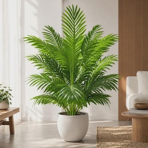 May include: A tall, lush green palm plant with long, feathery fronds extending outward in a symmetrical pattern. The plant is housed in a smooth, rounded, matte white ceramic pot that sits directly on the floor, showcasing vibrant foliage.