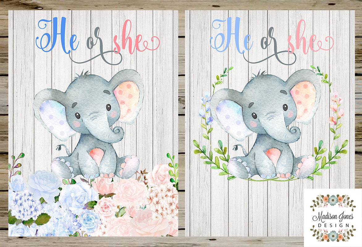 Download Gender Reveal 6x8 foot BACKDROP Baby Elephant He or She | Etsy