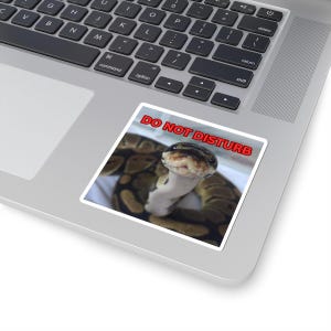May include: A square sticker featuring a brown and black patterned ball python with its head raised, accompanied by the text DO NOT DISTURB in bold red capital letters with a white outline, positioned on the surface of a silver laptop keyboard.
