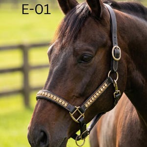 May include: A dark brown horse wearing a leather headcollar with brass fittings and a noseband featuring a row of embedded clear crystals. The text E-01 is visible in the upper left corner of the image. The headcollar includes adjustable buckles.