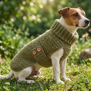 Può includere: Un cane di piccola taglia dal pelo bianco e marrone indossa un maglione lavorato a maglia color verde salvia. Il maglione presenta un collo alto a coste e un pannello laterale fissato con due bottoni in legno chiaro. Tessuto lavorato.
