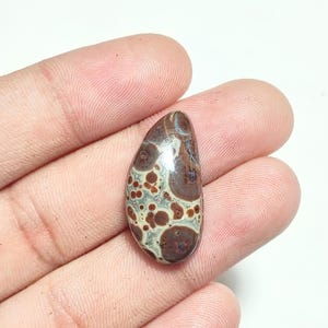 Può includere: Una pietra preziosa cabochon lucidata a forma di goccia, caratterizzata da un motivo complesso di macchie circolari marrone rossastro scuro incastonate in una matrice liscia grigio chiaro e crema, con una finitura superficiale lucida.