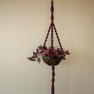 May include: A burgundy macrame plant hanger with a small terracotta pot and a trailing plant with purple leaves.