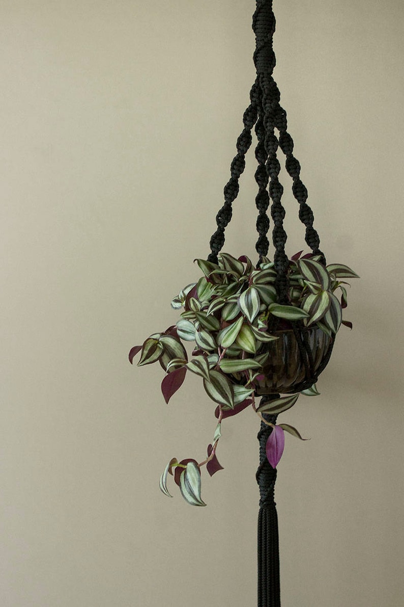 May include: A black macrame plant hanger with a tassel, holding a pot with a green and purple plant.