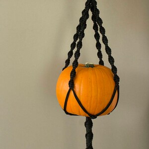 May include: A black macrame plant hanger with a small orange pumpkin hanging inside. The hanger has a long tassel at the bottom.