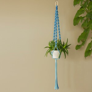 May include: A blue macrame plant hanger with a white pot and a green succulent plant hanging from a wooden ceiling hook.
