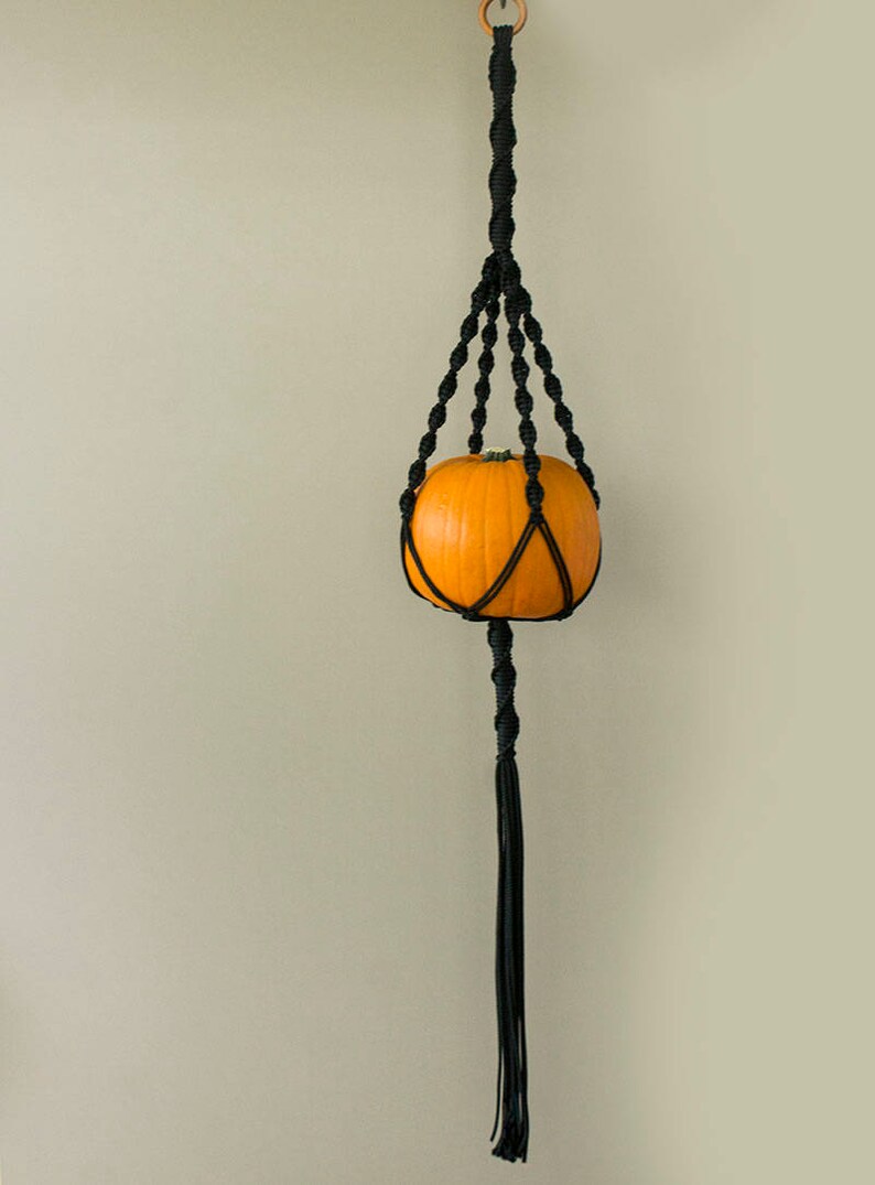 May include: A black macrame plant hanger with a small orange pumpkin inside. The hanger has a long tassel at the bottom.