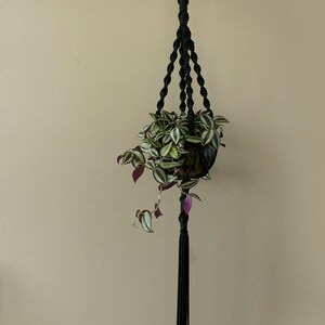 May include: Black macrame plant hanger with a green and white plant in a brown pot hanging from a wooden ring.