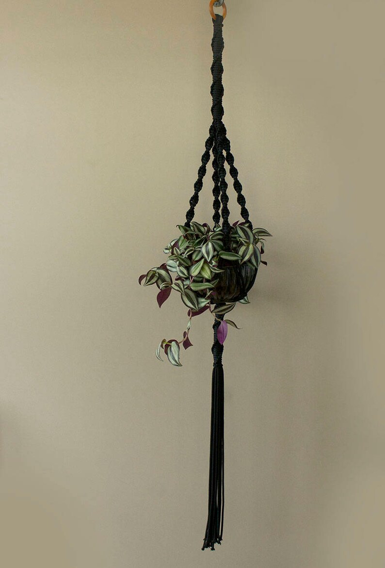 May include: Black macrame plant hanger with a green and white plant in a brown pot hanging from a wooden ring.