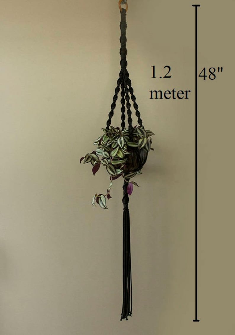 May include: Black macrame plant hanger with a green and purple plant in a brown pot. The hanger is 48 inches long and 1.2 metres long.