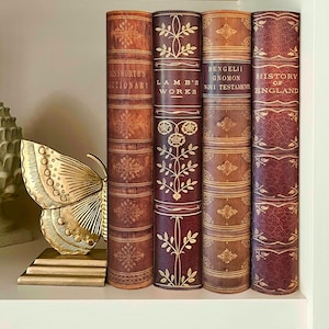 Juego de 4 carpetas de anillas A4 con aspecto de libro, estantería de biblioteca con temática histórica inglesa.