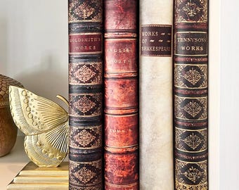 Set of 4 Book-Look A4 Ring Binders English PoetS Themed Library Shelf-Art