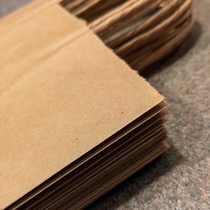 Paper Shopping Bags | Craft paper | Gift Bags | Blank | Party Favors | Packs of 10