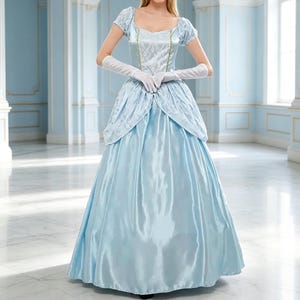 Light Blue Princess Dress Adult