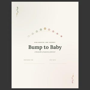 May include: A cream-colored pregnancy planner cover titled Bump to Baby, a keepsake pregnancy planner, with the subtitle Nine Months, One Journey. It features a curved line of small colored circles, two lines for Prepared For and Due Date, and small leaf illustrations.