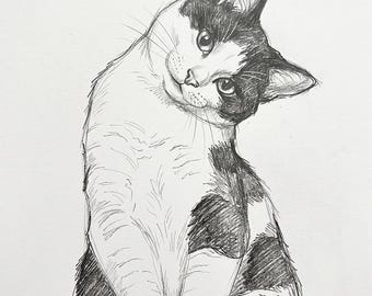 May include: A graphite pencil drawing of a cat with a white coat and dark patches on its head and body. The cat is positioned with its head tilted to the side, looking forward with large eyes, and its front paws resting on a ledge or corner edge.