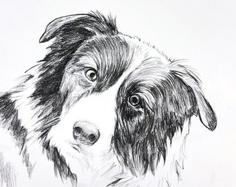 Custom Pet Drawing, Pencil on Paper, Pet Portrait Hand Painted, Personalized Pet Sketch, Pet Lover Gift, Friend Gift