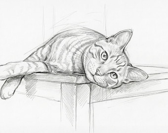 May include: A graphite pencil sketch on white paper depicting a tabby cat lying down on a flat surface. The cat is shown from the side with its head turned toward the viewer, featuring detailed shading, visible whiskers, and striped fur patterns.