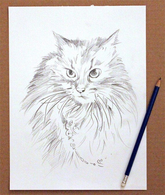 Dessin De Chat De La Photo Portrait De Chat Fait Sur Etsy Dessin De Chat De La Photo Portrait De Chat Fait Sur Etsy