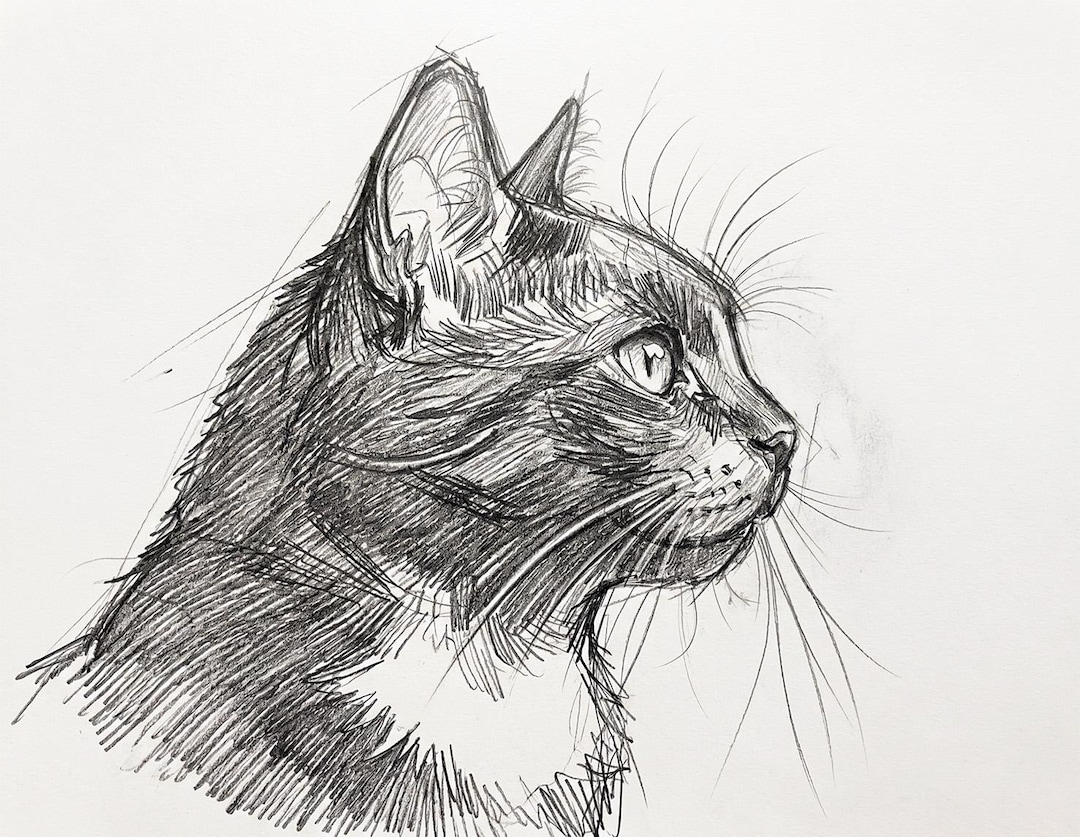 Custom Cat Portrait from Photo, Hand Drawn Graphite Pencil Drawing, Personalized Cat Sketch on Paper, Cat Lover Gift