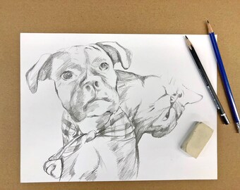 Drawings of Pets, Drawing from Photo, Pet Drawing, Drawing of Dogs, Pet illustration, Illustration of Pets