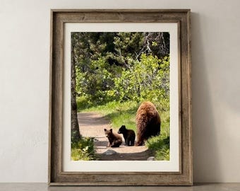 3 Bears Digital Wall Print - 11x14, Custom Sizing, vertical